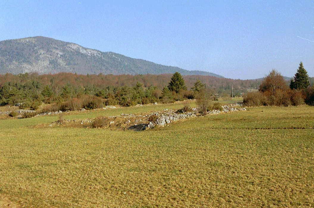 3 avril 2002. Vassieux en Vercors - Lente