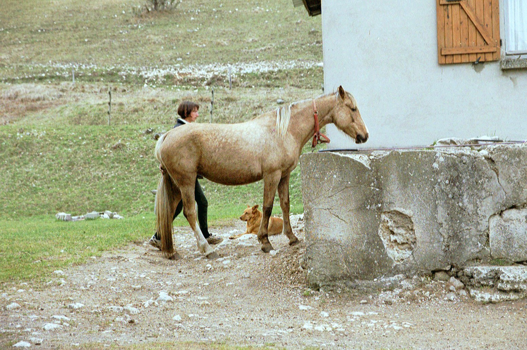 3 avril 2002. Vassieux en Vercors - Lente