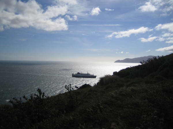 Un navire entre dans la baie de Wellington