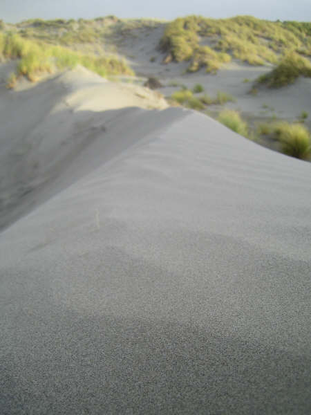 Dunes à Kuku Beach