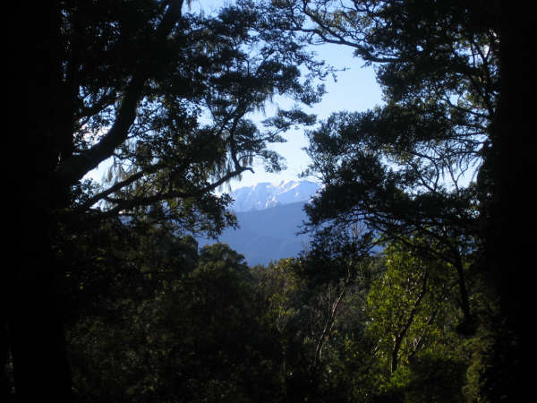 Les sommets du Tararua sont enneiges