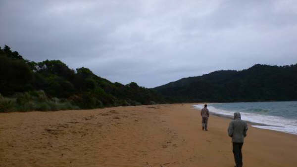 Une des plages de l'Abel Tasman