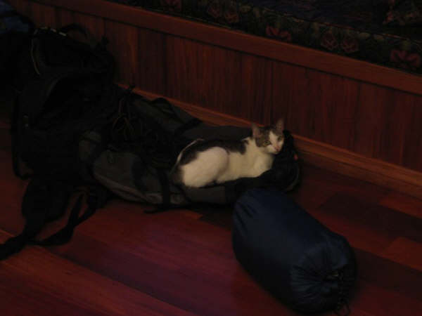 20 janvier. Nous preparons nos affaires ... Daphne veut venir et s'installe sur mon sac a dos!!!