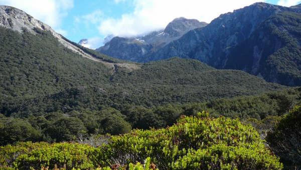 La vallée Waikamariri