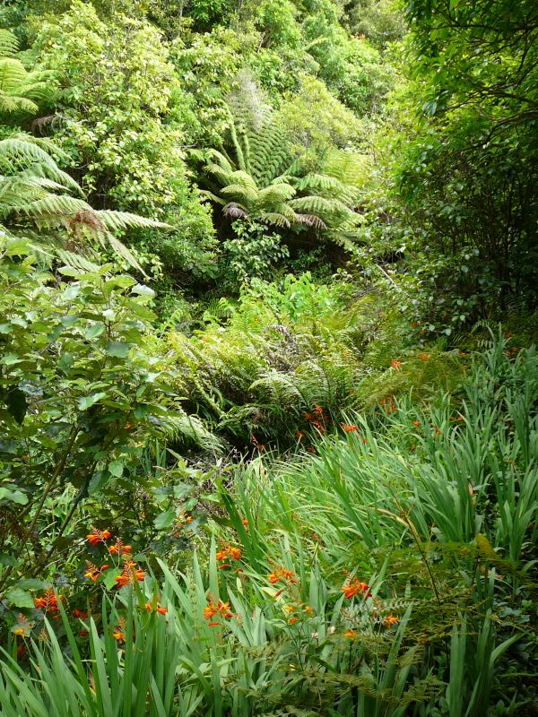 Ce parc, situe entre la Hutt Valley et la Kapiti Coast, est reco