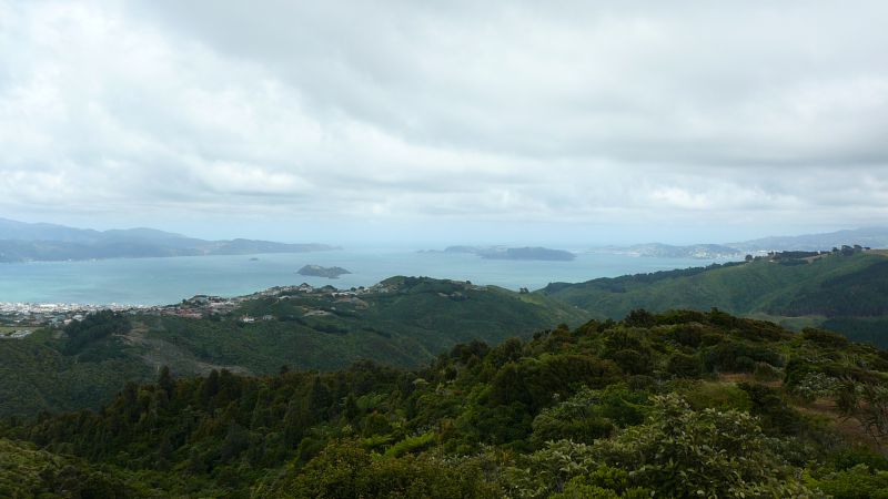 La baie de Wellington, vue du Nord. A gauche, le Rimutaka. La gr