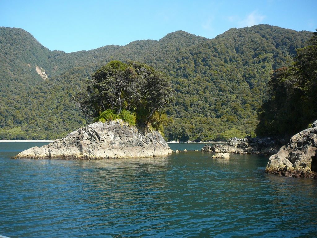 En descendant le fjord, vers la mer de Tasman