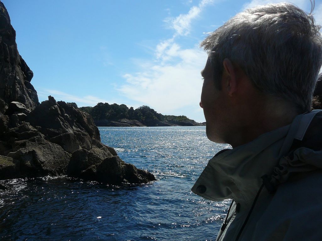 En descendant le fjord, vers la mer de Tasman