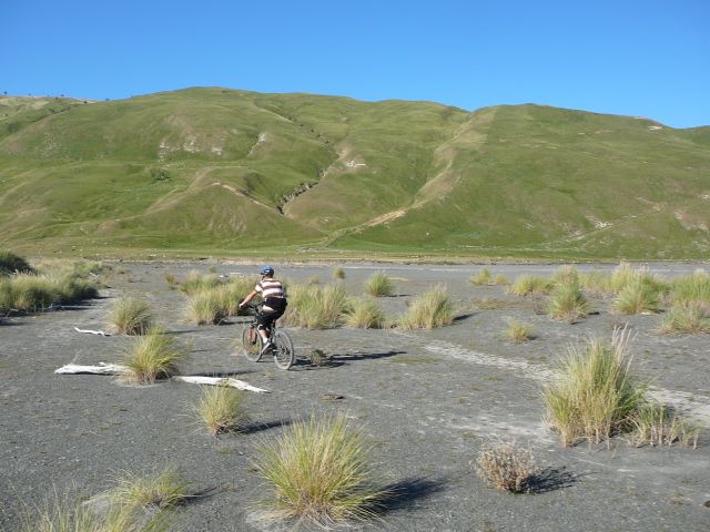 Les collines du Wairarapa