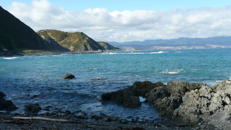 La côte Sud de Wellington.