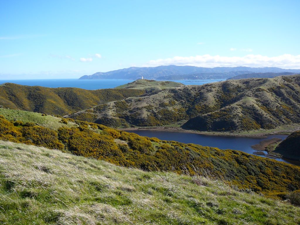 Le lac, au premier plan, puis le phare, et au loin, Wellington.