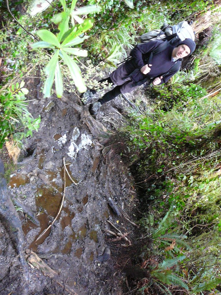 Une autre constante des randos de Nouvelle Zélande: la boue.