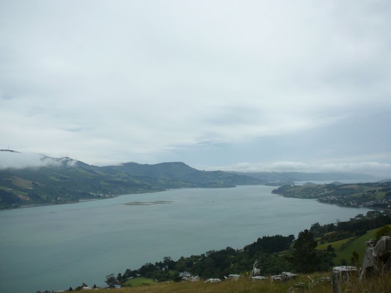 Puis, c'est visite de la péninsule de l'Otago.