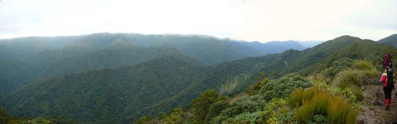 Le montagnes du Tararua Nord.