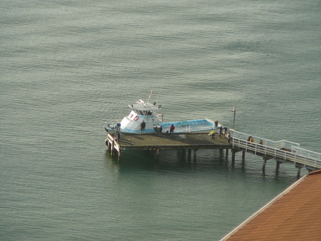En bas, de bon matin, le bateau de pêcheur revient de sa virée en mer et vend directement aux consomatteurs!