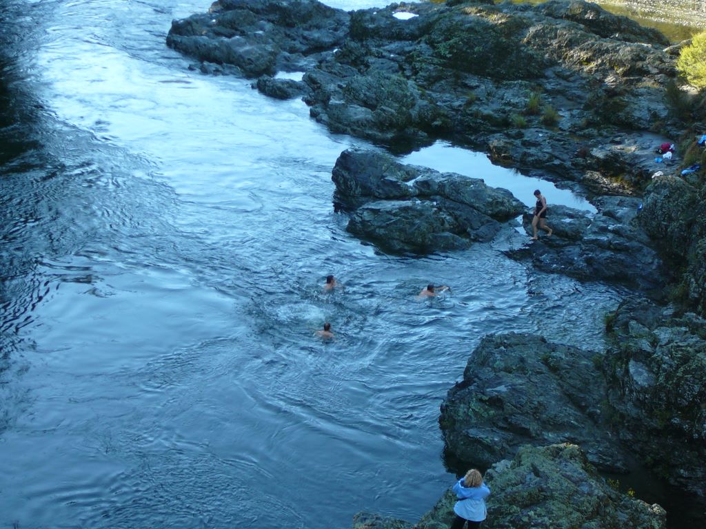 Encore la Pelorus river, mais au retour. L'eau doit avoisiner les 6° mais quelques courageux se jettent à l'eau!