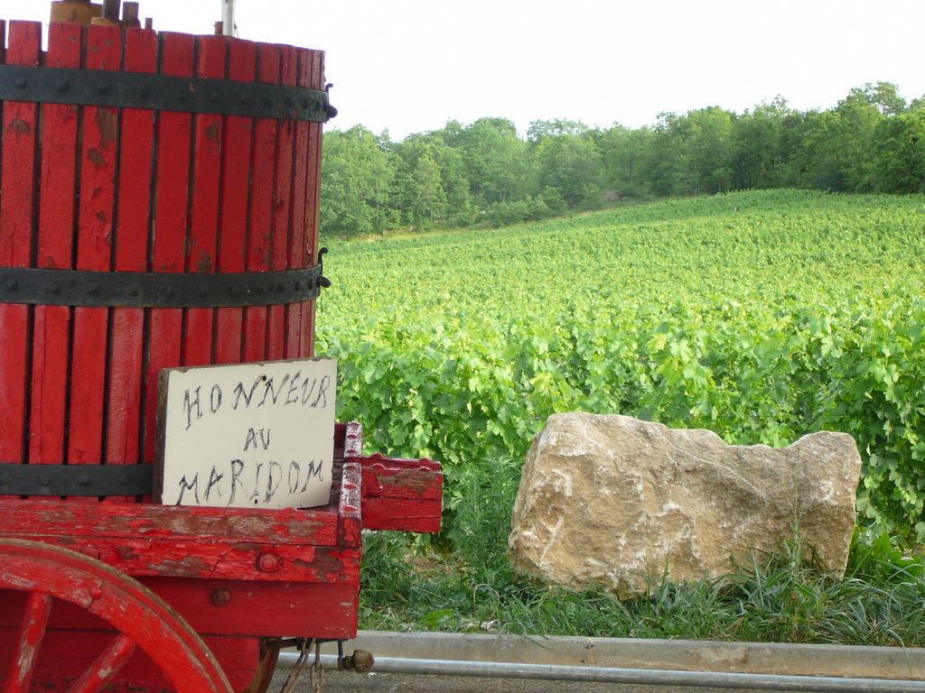 Les vignobles réapparaissent petit à petit dans le Périgord.
