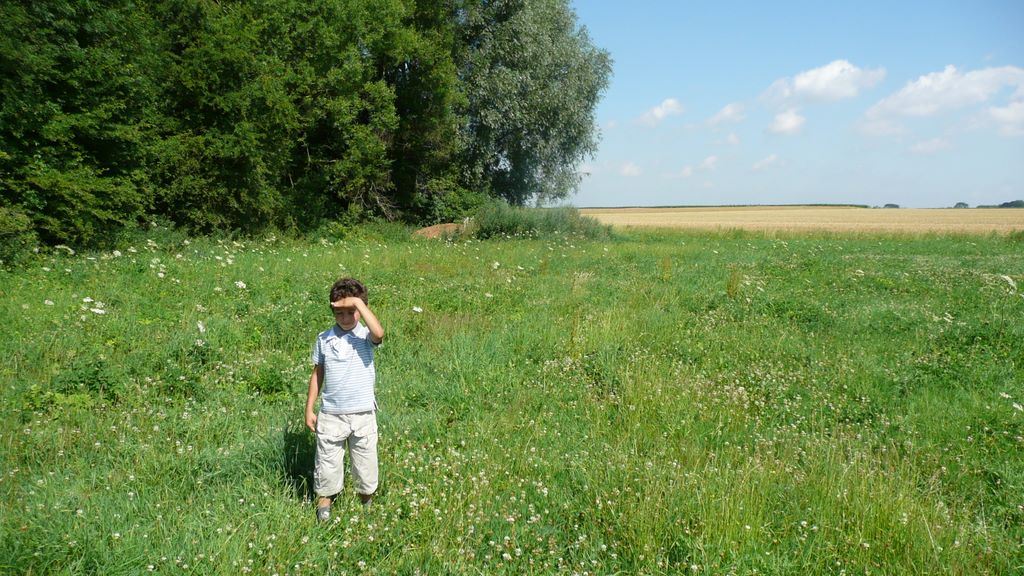 Promenade avec Maël dans les champs derrière la maison.