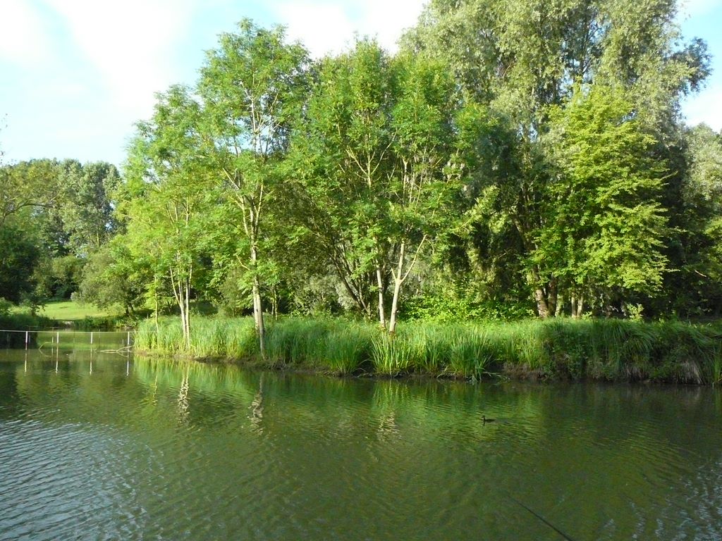 L'étang d'Herlies.