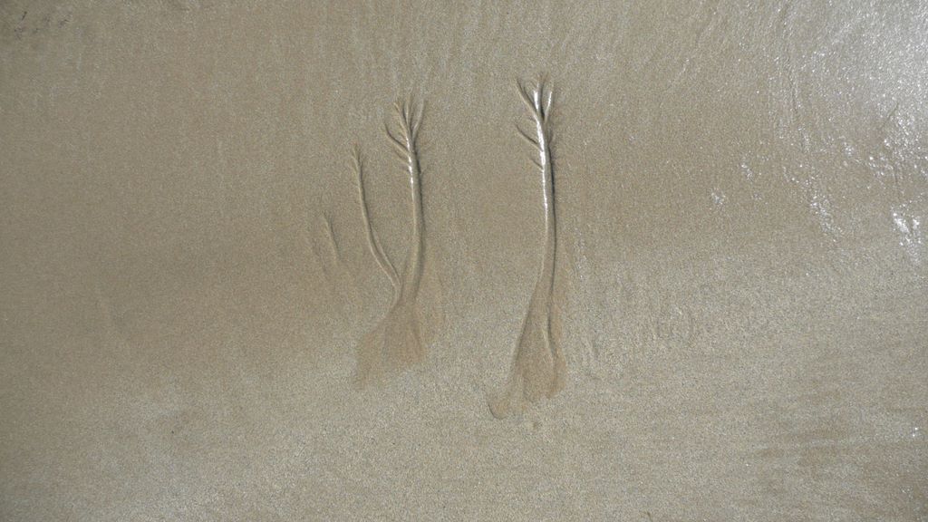 Encore un effet de la mer dans le sable.