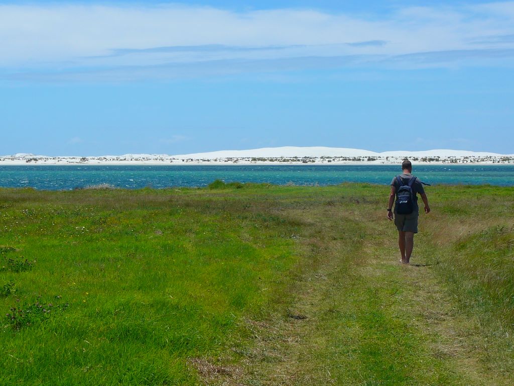 Sur la route de Cape Reinga, une dune de silice, apparemment le plus pur au monde.