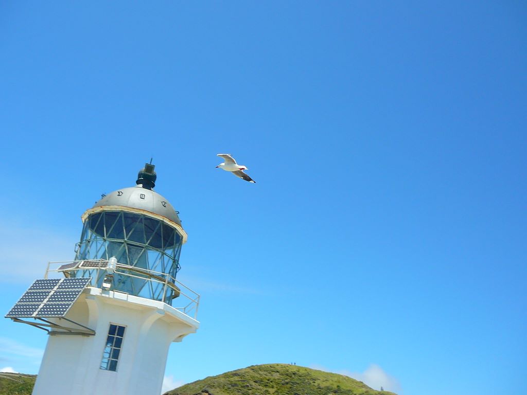 Le Cape Reinga, c'est aussi un haut lieu spirituel pour les maoris qui considèrent que c'est la pointe ...