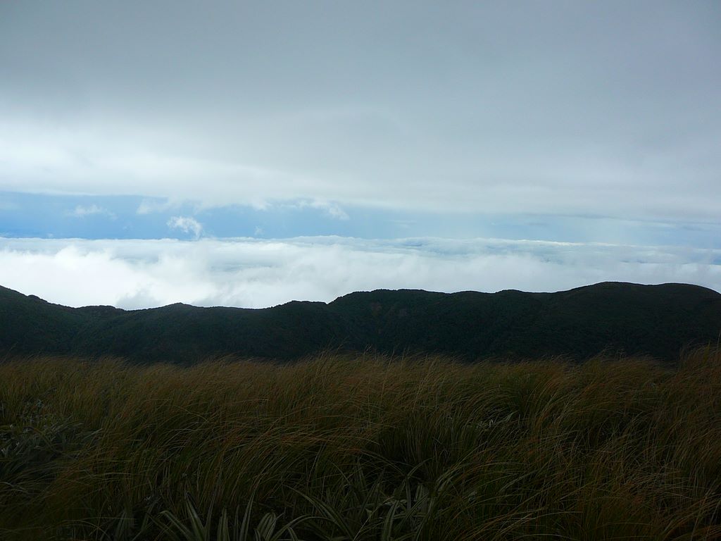 Vers l'Est, en regardant vers le Pacifique, nous réalisons que nous sommes coincés entre deux couches de nuages. En dessous se trouvent Napier et Gisborne.