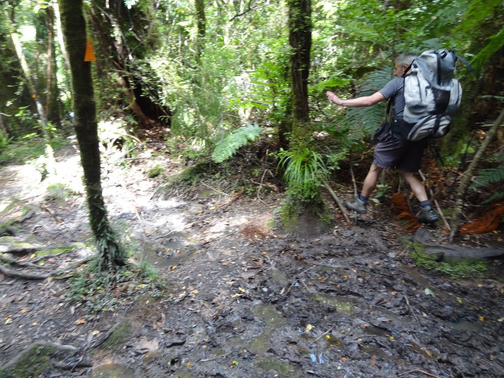 Sur le sentier, il y a de multiples bassins de boue à traverser, comme d'habitude en Nouvelle Zélande.