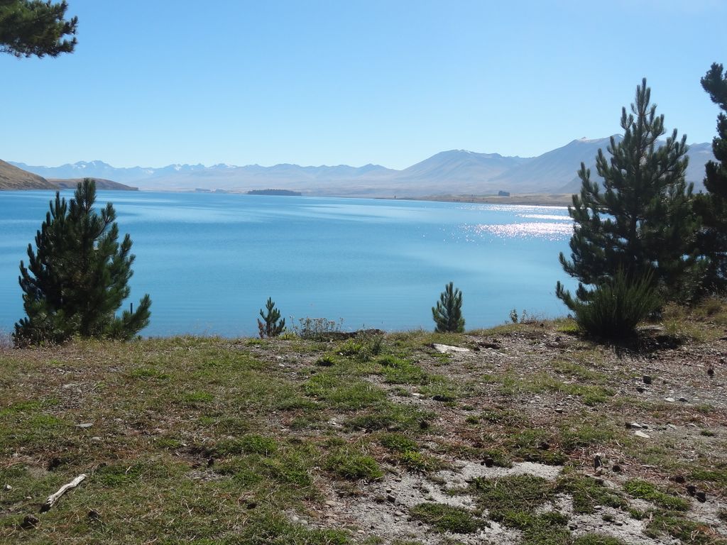 Le lac Tekapo. Attention, le bleu est vraiment turquoise sature, c'est pas la photo qui est retouchee!