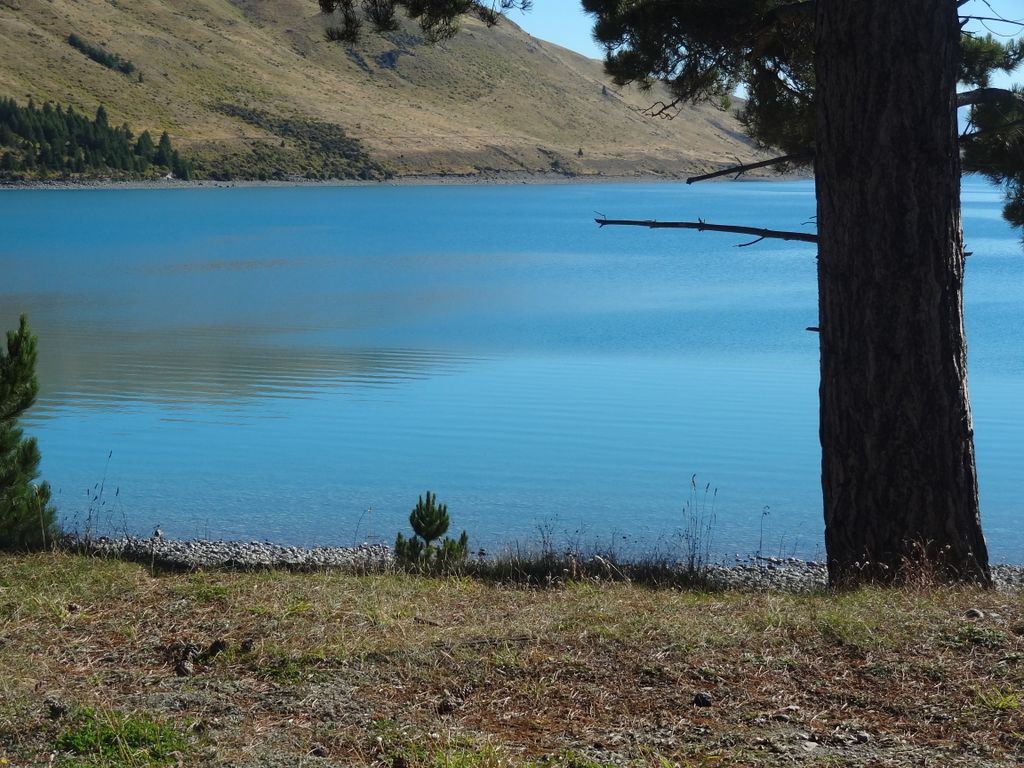 Les abords du lac Tekapo. Mon programme de la journee: escalader le mont St John ce qui devrait me donner de jolis points de vue sur le lac.