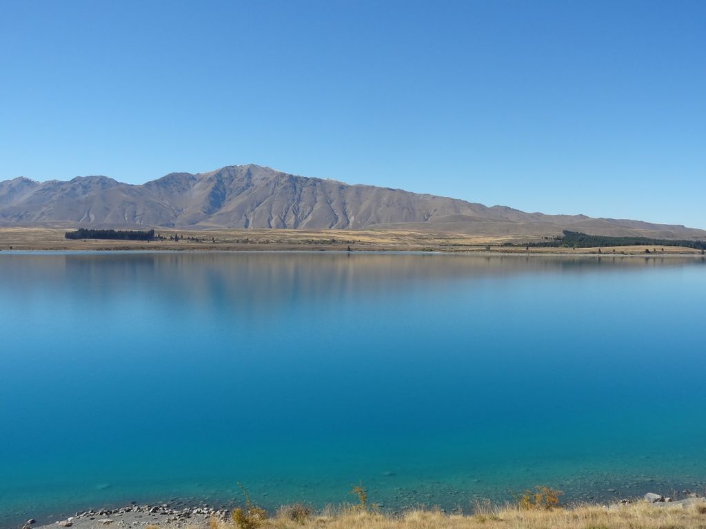 Le lac Tekapo. Sympa les couleurs!