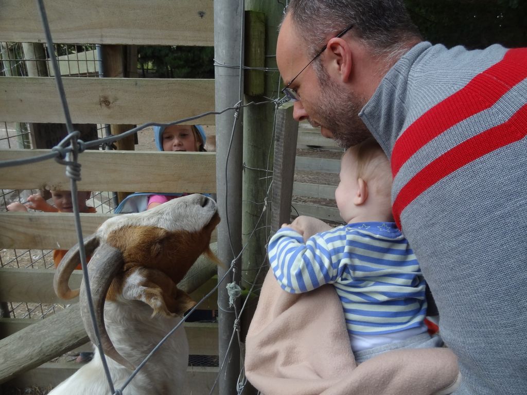 Adan est extrêmement excité à l'idée de caresser la chèvre!