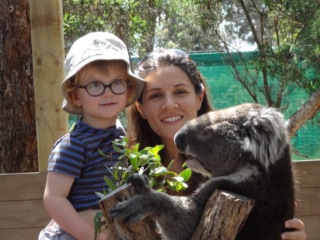 Adan, Math et le koala