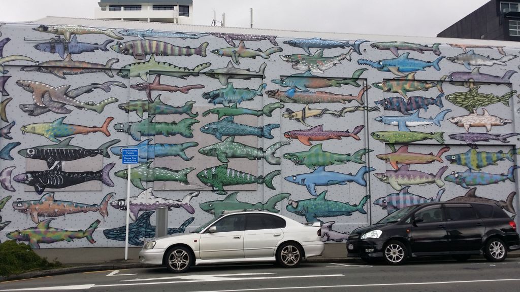 Street art dans Wellington.