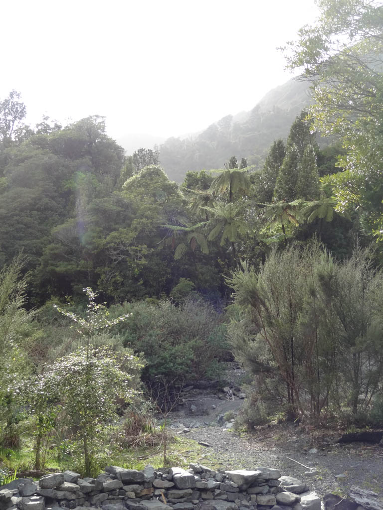 L'Orongorongo valley.