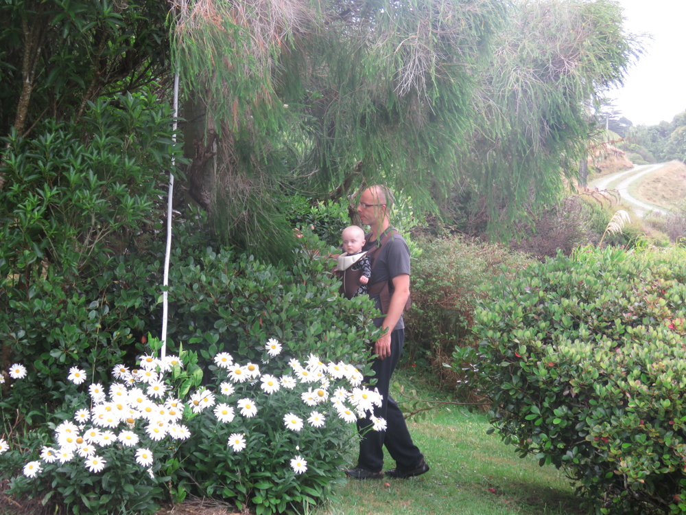 Quand Cosmo est un peu ronchon, rien de tel qu'un petit tour dans le jardin pour découvrir toutes les plantes et caresser les feuilles.