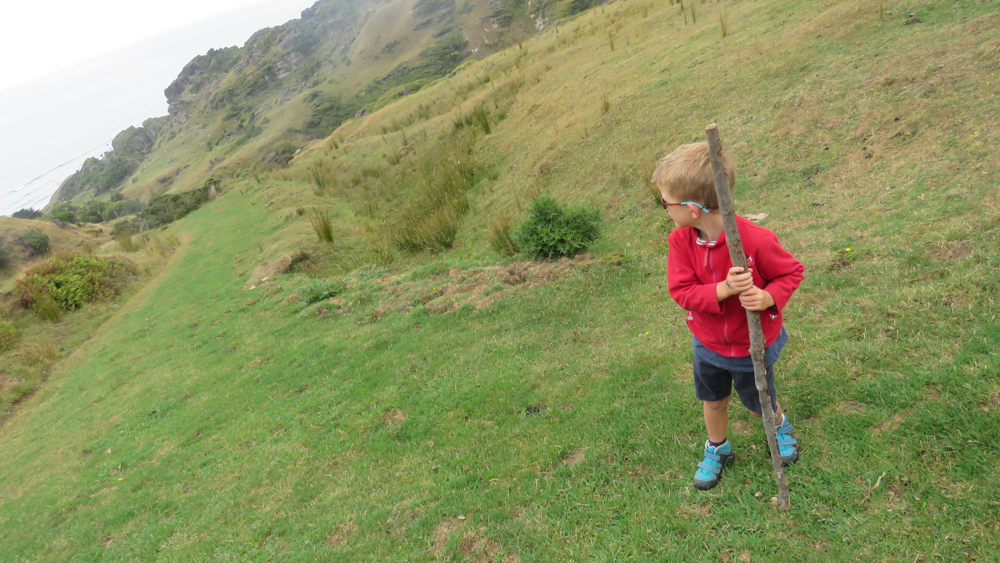 Du coup, Adan et Gros Papa partent seuls en rando au point le plus haut de Te Hapu.
