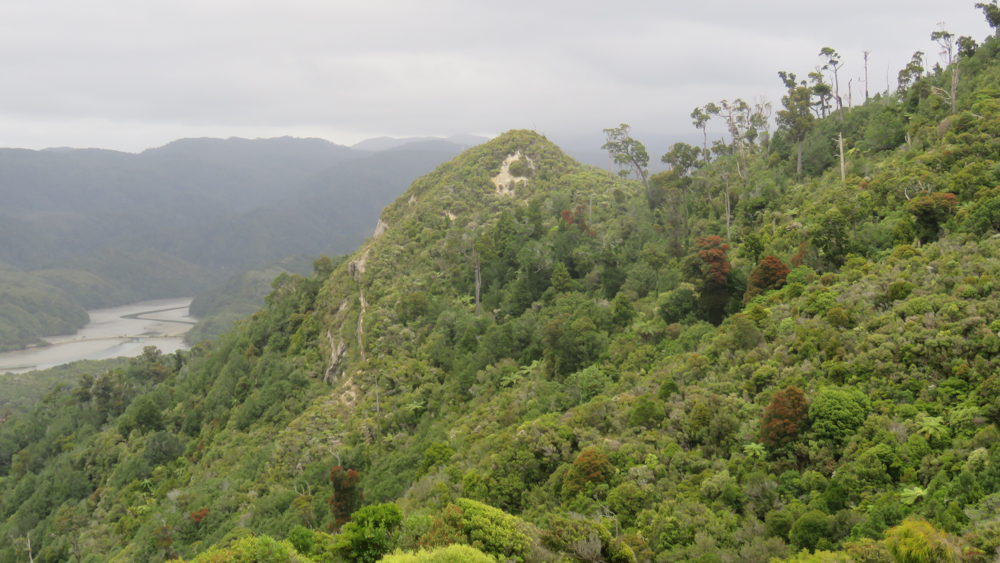 La vue promet d'être épique, avec un 360 englobant le Kahurangi National Park et la mer.