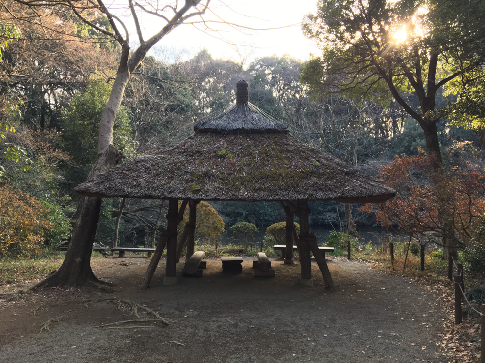 Meiji Shrine.