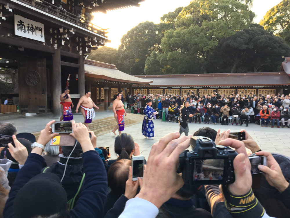Les sumos au Meiji Shrine.
