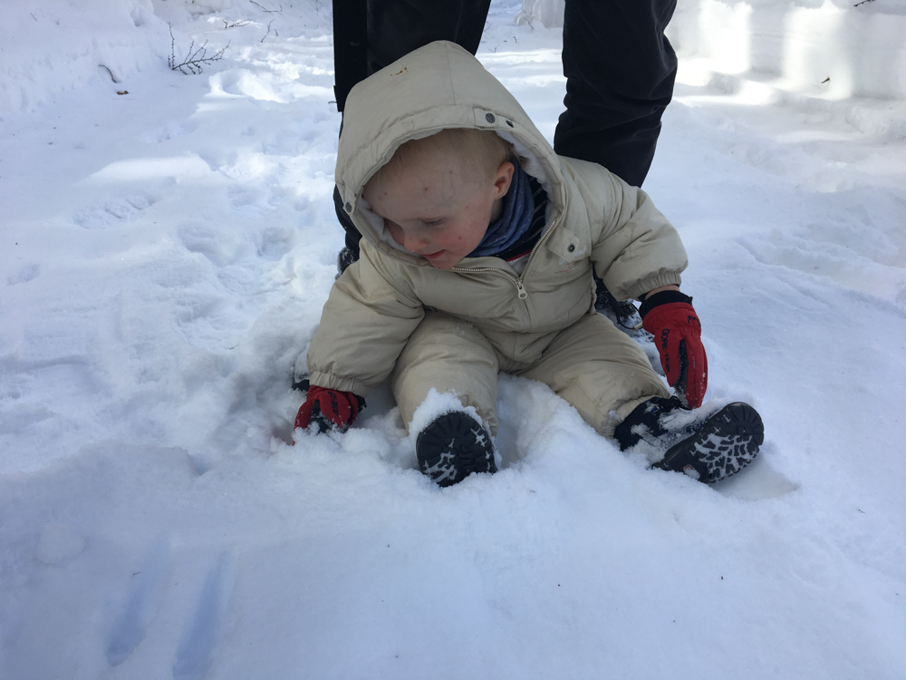 Cosmo découvre la neige.