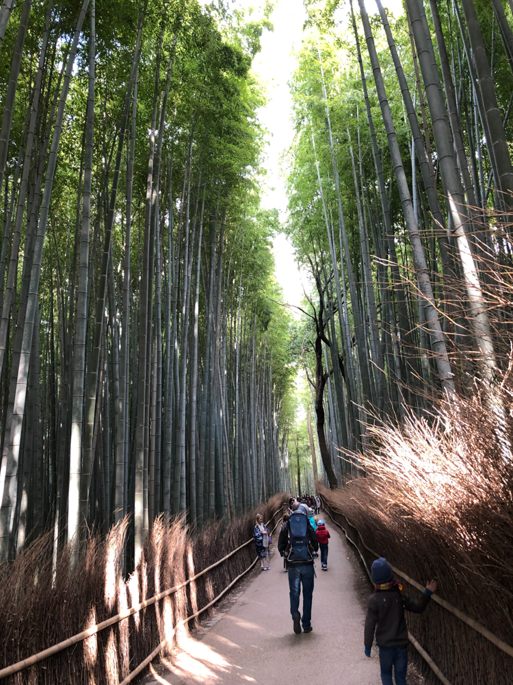 La forêt de bambous d'Arashyama.