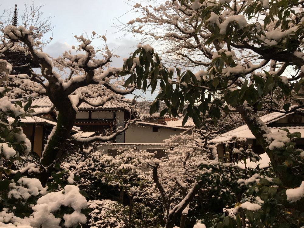 Dimanche 27 Janvier. Notre périple Japonais touche à sa fin, sous la neige.