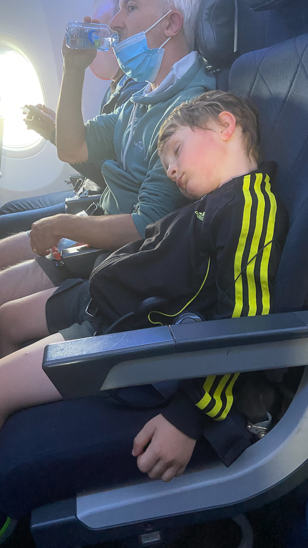 Cosmo a refuse de dormir depuis Dubai. Grand classique, il finit par sombrer, 10 minutes avant que l'avion ne touche la piste, a Wellington