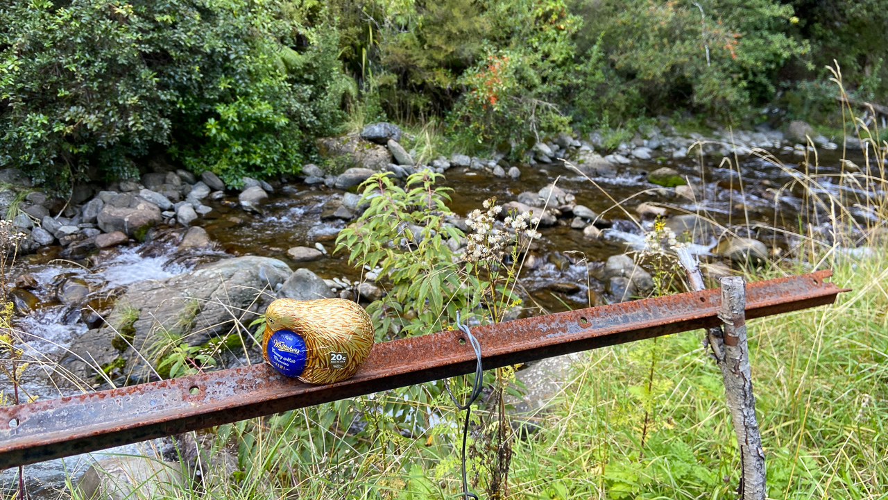 Un kiwi en chocolat devant ... kiwi creek!